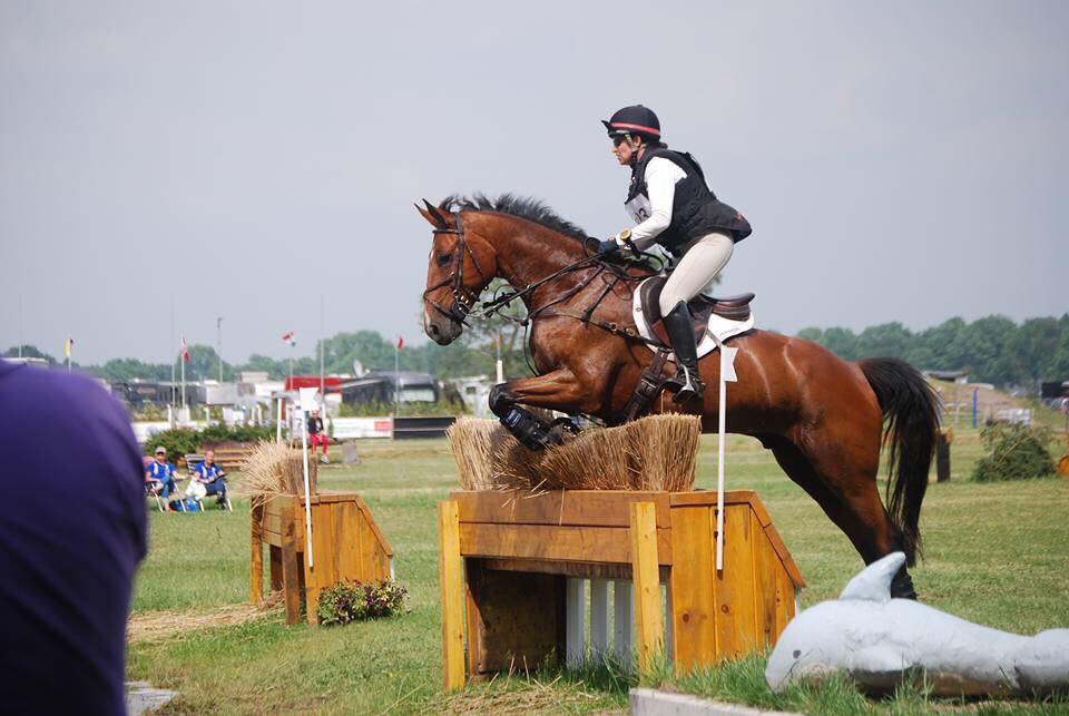 Windsor-Essex Equestrian Centre | 6950 Concession Rd 9, Maidstone, ON N0R 1K0, Canada | Phone: (519) 984-3305