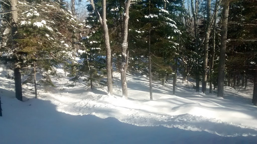 LOrignal | 26 Chemin de la Sainte-Berthe, Petite-Rivière-Saint-François, QC G0A 2L0, Canada | Phone: (418) 580-7816