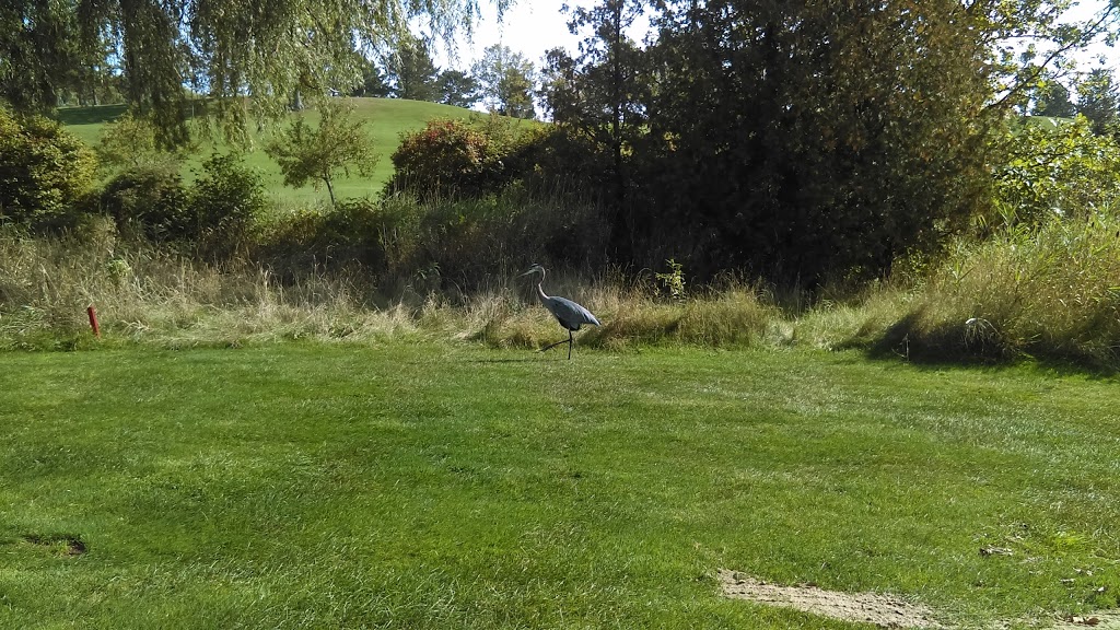 Sawmill Golf Course | 856 Sawmill Rd, Fenwick, ON L0S 1C0, Canada | Phone: (905) 562-4041