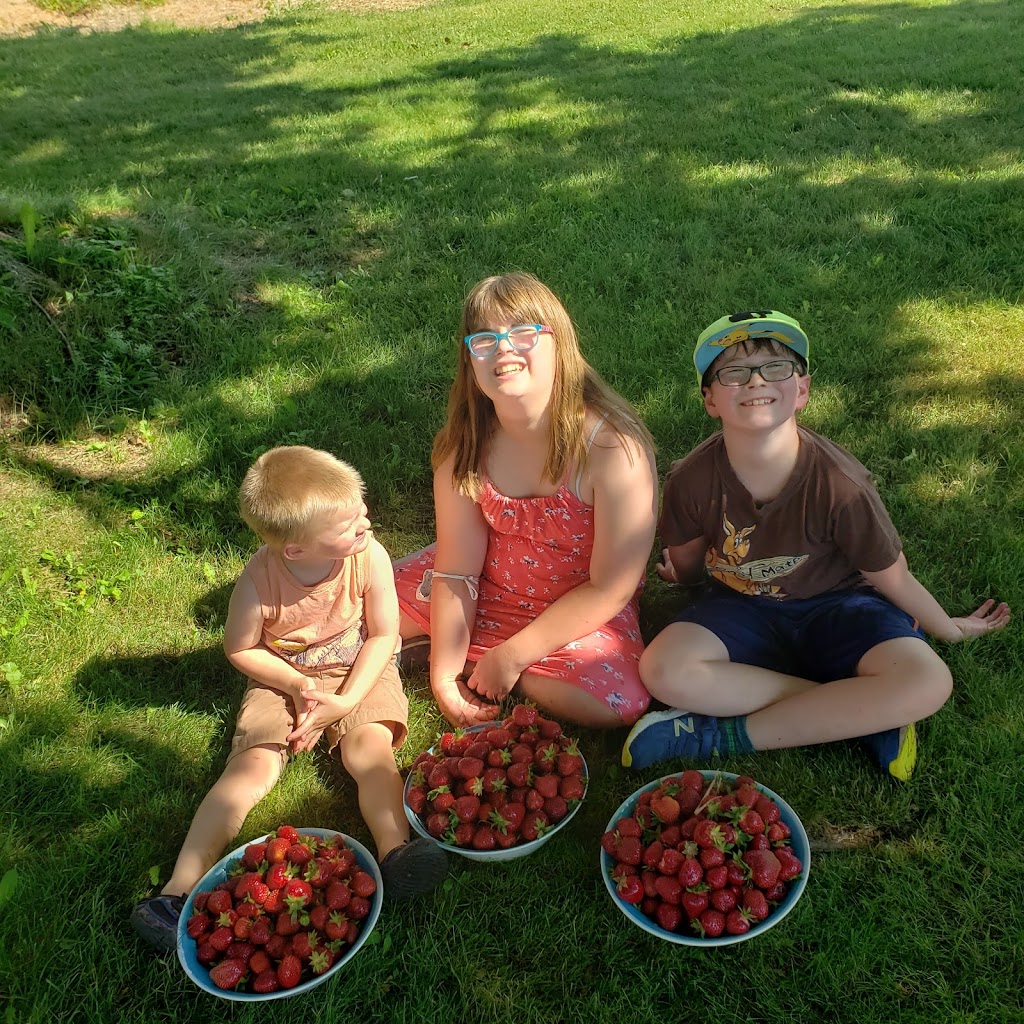 Bates Landing Roadside Market | 800, NB-850, Long Point, NB E5N 7V8, Canada | Phone: (506) 485-2795