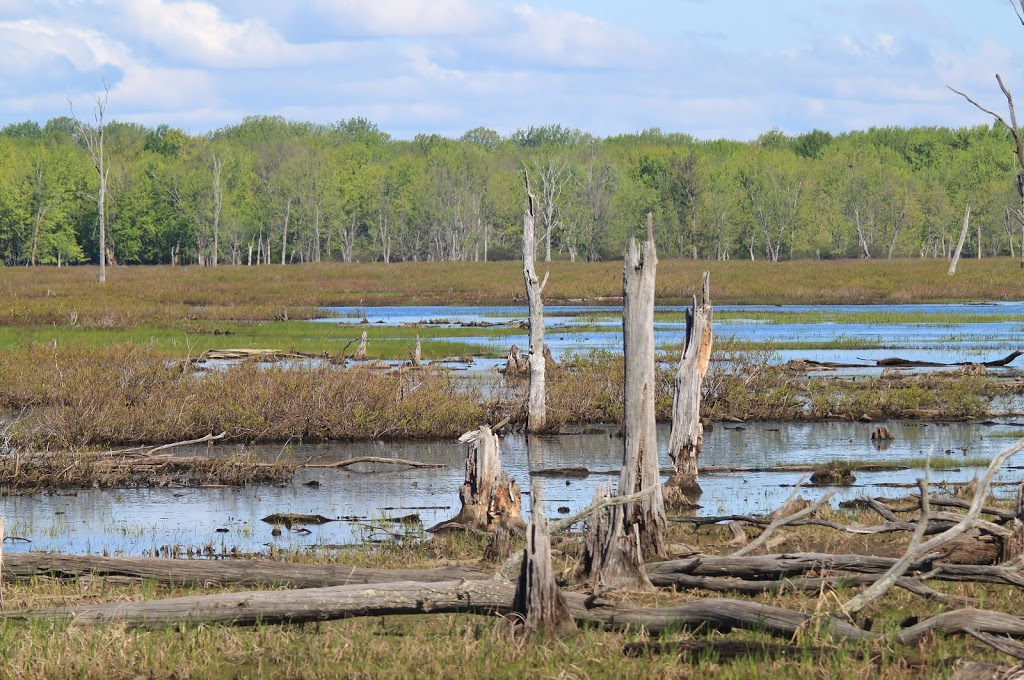 Missisquoi National Wildlife Refuge Admin Building And Visitor C | 29 Tabor Rd, Swanton, VT 05488, USA | Phone: (802) 868-4781