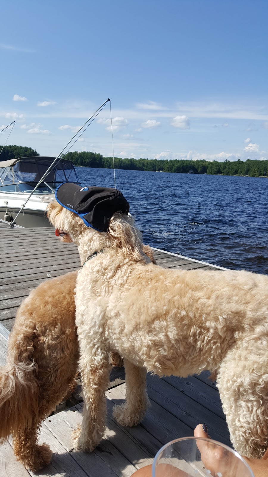 Campbells Landing Marina Limited | 1956 Muskoka District Road 169, Gravenhurst, ON P1P 1R2, Canada | Phone: (705) 687-3821