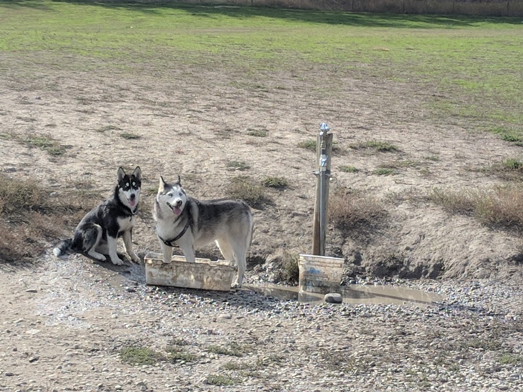 North Glenmore Dog Park | 2150 Glenmore Rd N, Kelowna, BC V1V 2C5, Canada | Phone: (250) 469-8503
