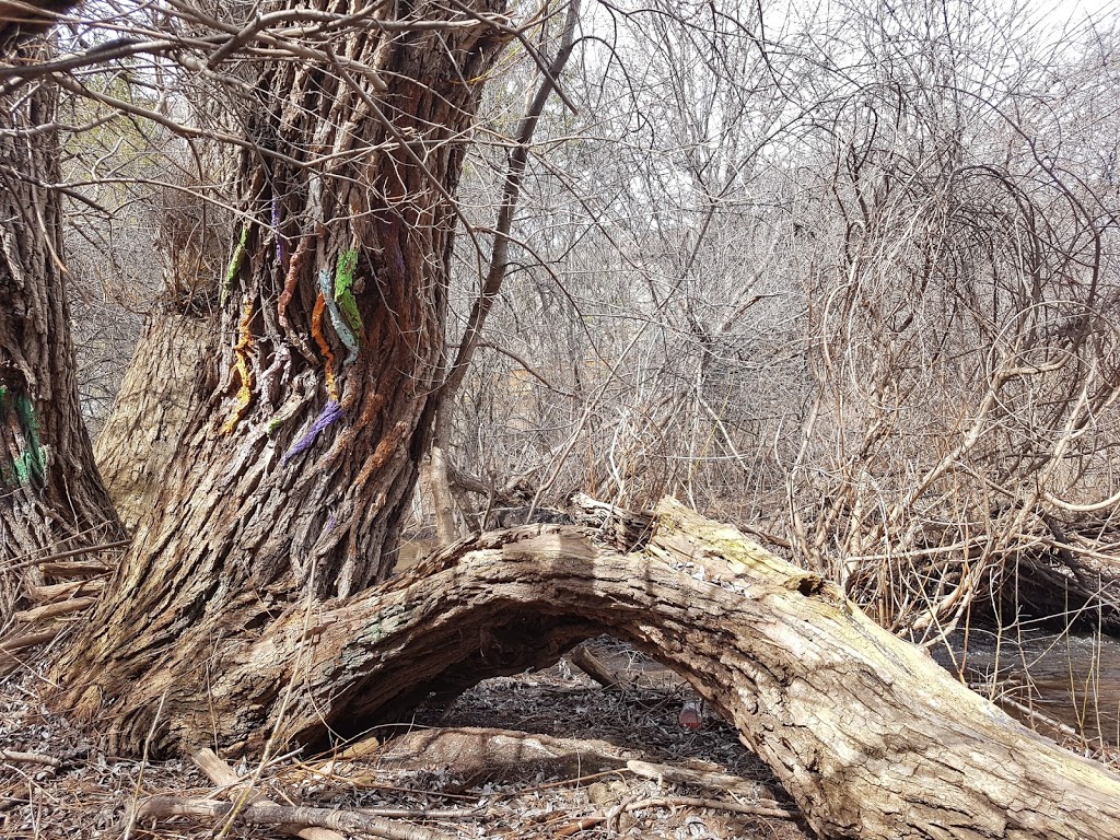 Taplow Creek Trail | 1903 Pilgrims Way, Oakville, ON L6M 2X1, Canada