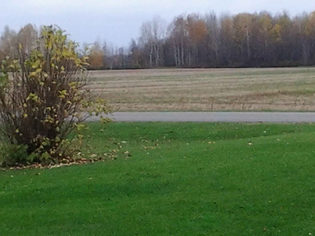 Ferme Hofmatters inc. | 410 6 Rang, Saint-Sylvère, QC G0Z 1H0, Canada | Phone: (819) 285-2037