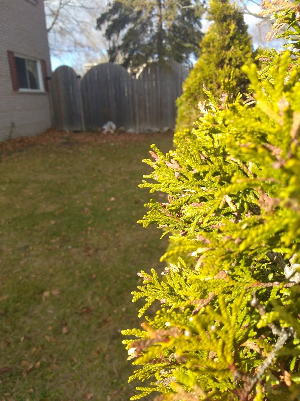 Deekshill Park | 2 Piperbrook Crescent, Scarborough, ON M1E 5G9, Canada