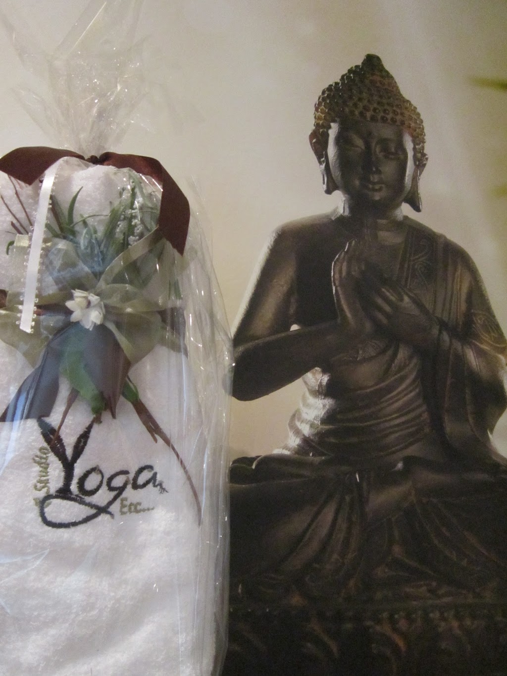 Studio Yoga Etc | 1436 Boulevard Curé-Labelle local 106, Blainville, QC J7C 2P2, Canada | Phone: (450) 951-4951