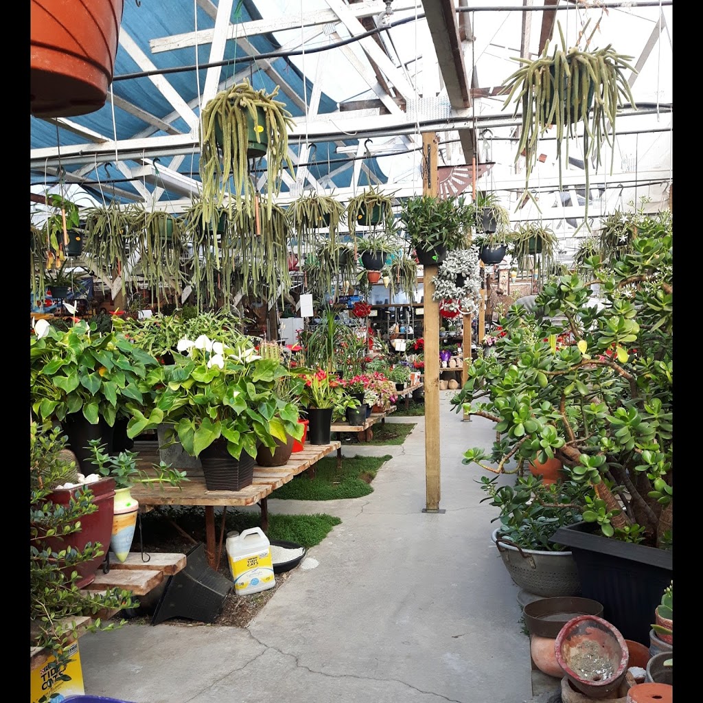 Sunrise Garden Ctr | 28563 Fraser Hwy, Abbotsford, BC V4X 1L1, Canada | Phone: (604) 856-6899