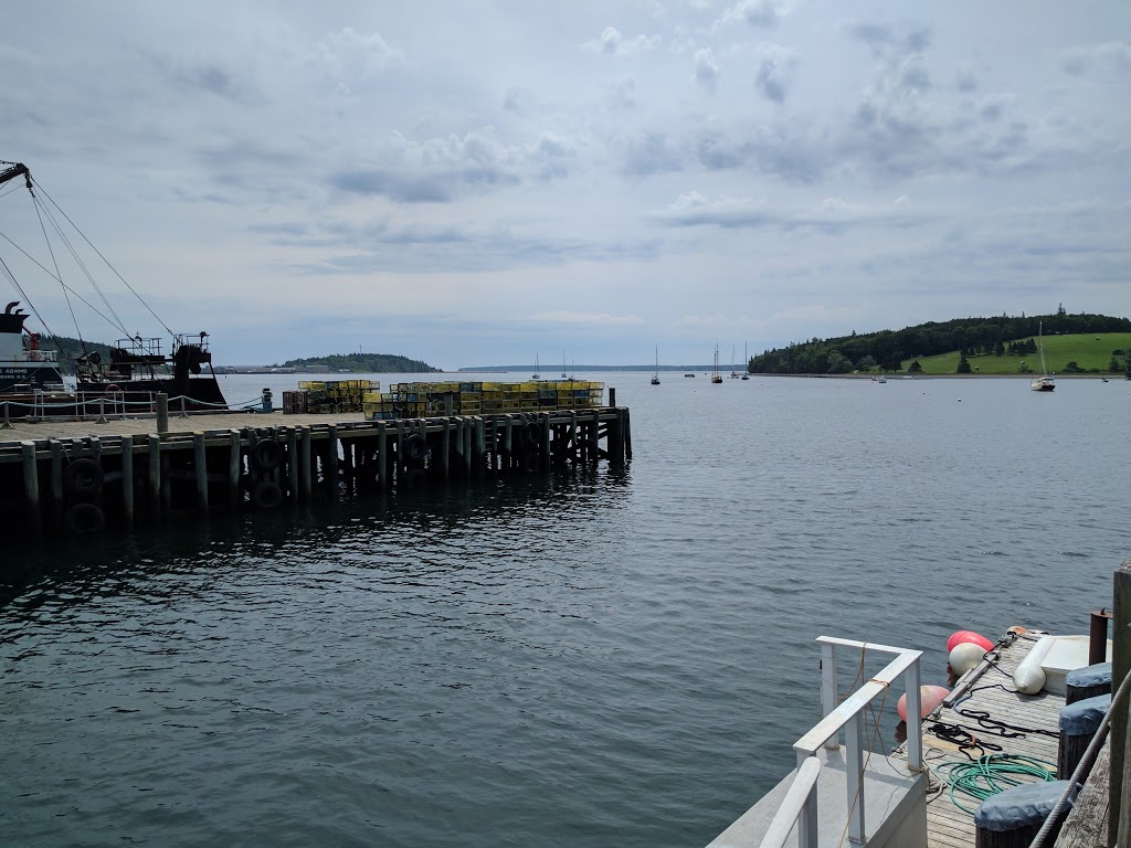 Lunenburg Ocean Adventures | 68 Bluenose Dr, Lunenburg, NS B0J 2C0, Canada | Phone: (902) 521-0251