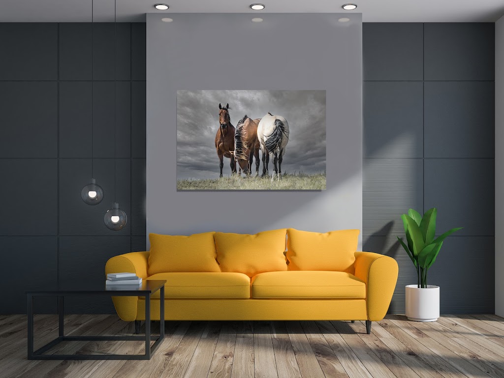 D. Dunning Fine Art Photography | 339 Willow Ridge Manor SW, Black Diamond, AB T0L 0H0, Canada | Phone: (403) 894-2635