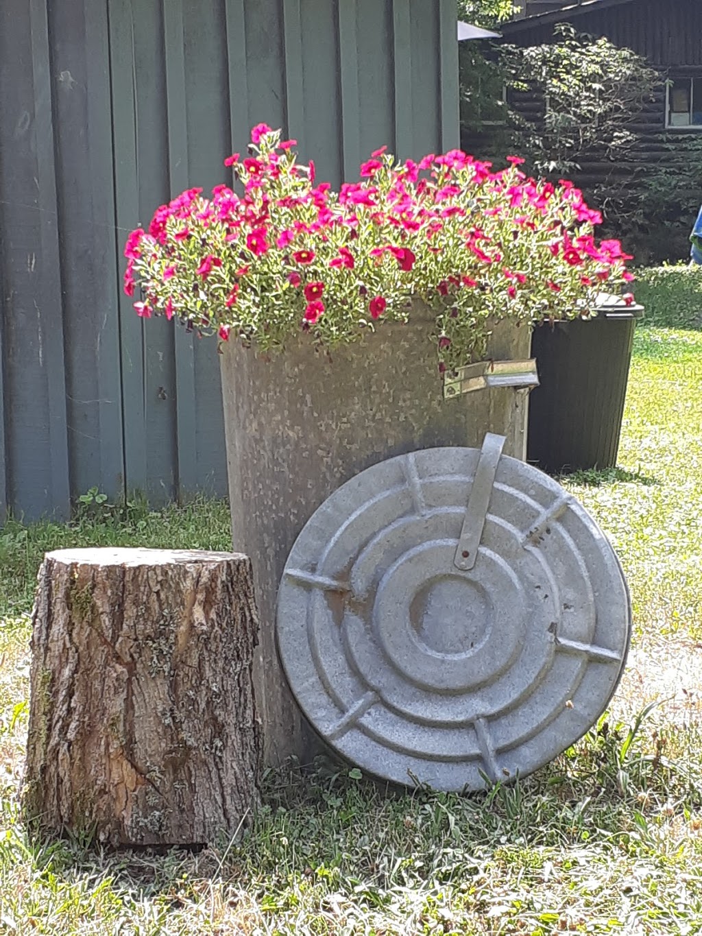 Maple Creek Cabins | 1074 Nordic Inn Rd, Dorset, ON P0A 1E0, Canada | Phone: (705) 766-1065