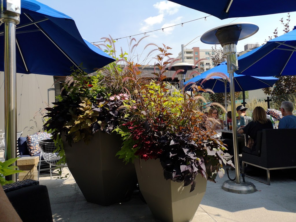 Earls Kitchen + Bar | 11830 Jasper Ave, Edmonton, AB T5K 0N7, Canada | Phone: (780) 488-6582