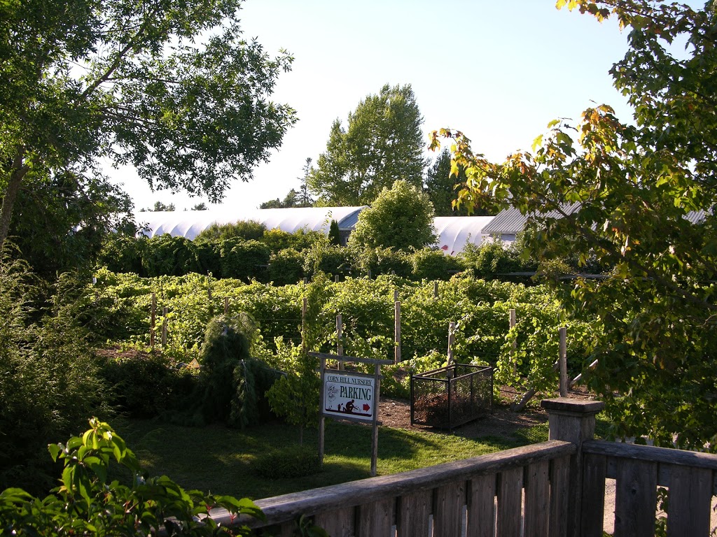 Cedar Cafe | 2700 Route 890, Cornhill, NB E4Z 1M2, Canada | Phone: (506) 756-8511