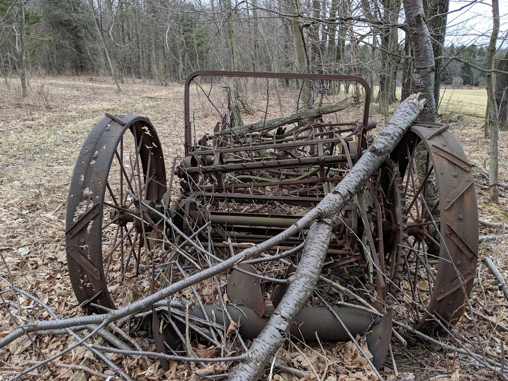 Boston Forest County Park Trailhead | Boston, NY 14025, USA | Phone: (716) 858-7037