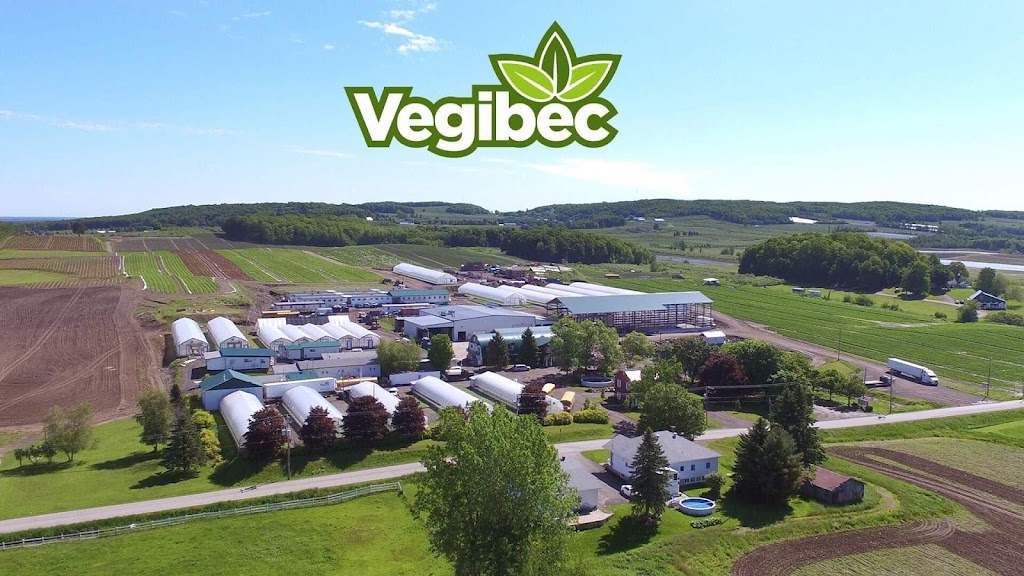 Les Jardins Vegibec Inc | 171 Rang Sainte-Sophie, Oka, QC J0N 1E0, Canada | Phone: (450) 596-0566