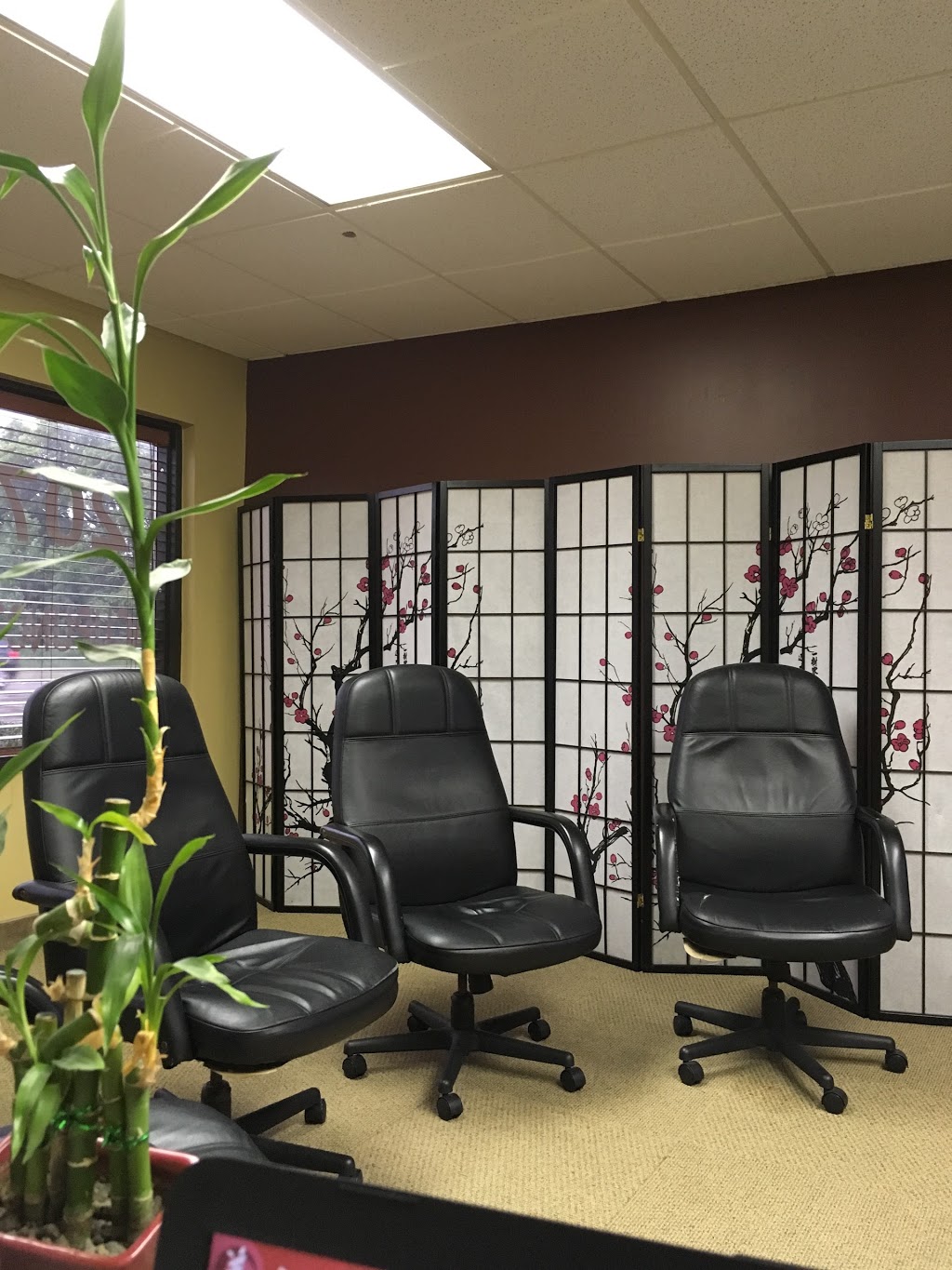 Neuro Wellness Institute | 3395 Howard Ave #2, Windsor, ON N9E 3N6, Canada | Phone: (519) 969-9888