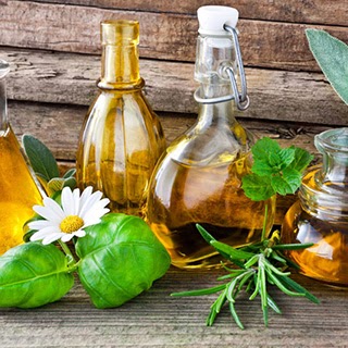 Caroline Martin | Conseillère Épicure et Naturopathe | Charlesbo | 304 Rue de lÉpilobe, Québec, QC G3G 3C6, Canada