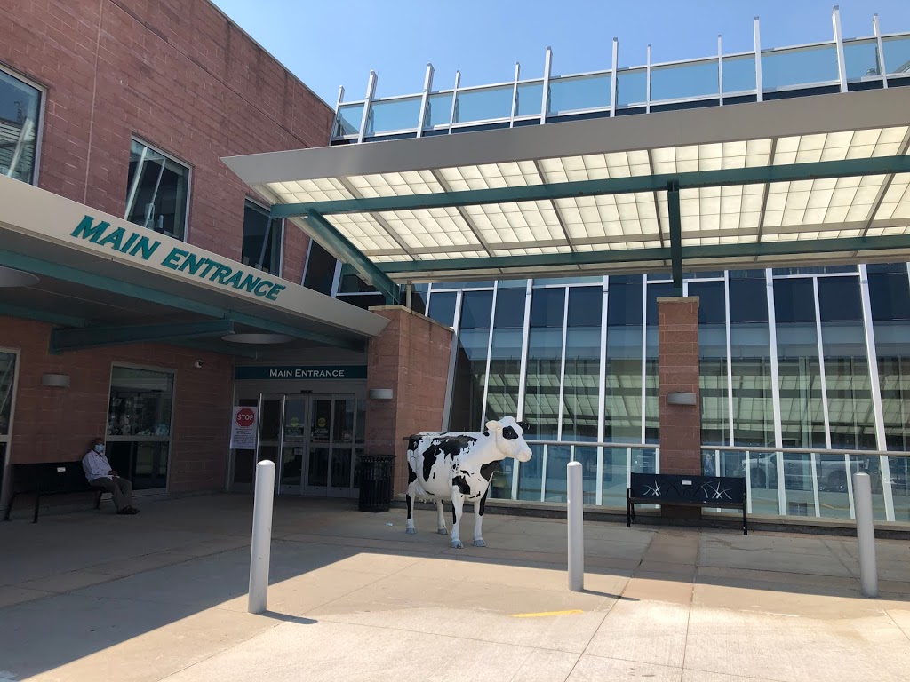 Woodstock General Hospital | 310 Juliana Dr, Woodstock, ON N4V 0A4, Canada | Phone: (519) 421-4211