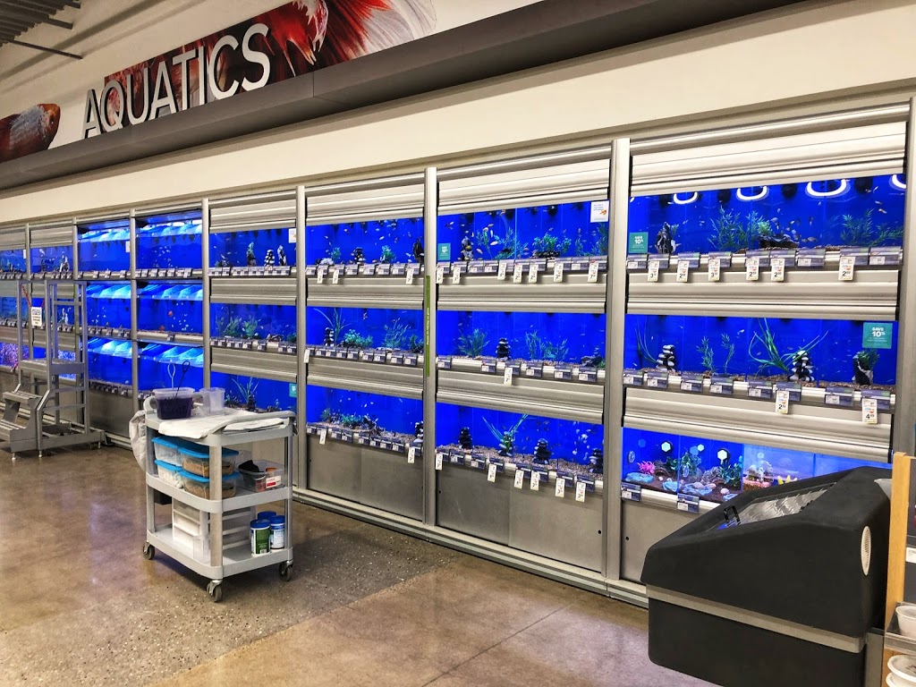PetSmart | 544 Bayfield St, Barrie, ON L4M 5A2, Canada | Phone: (705) 739-1270