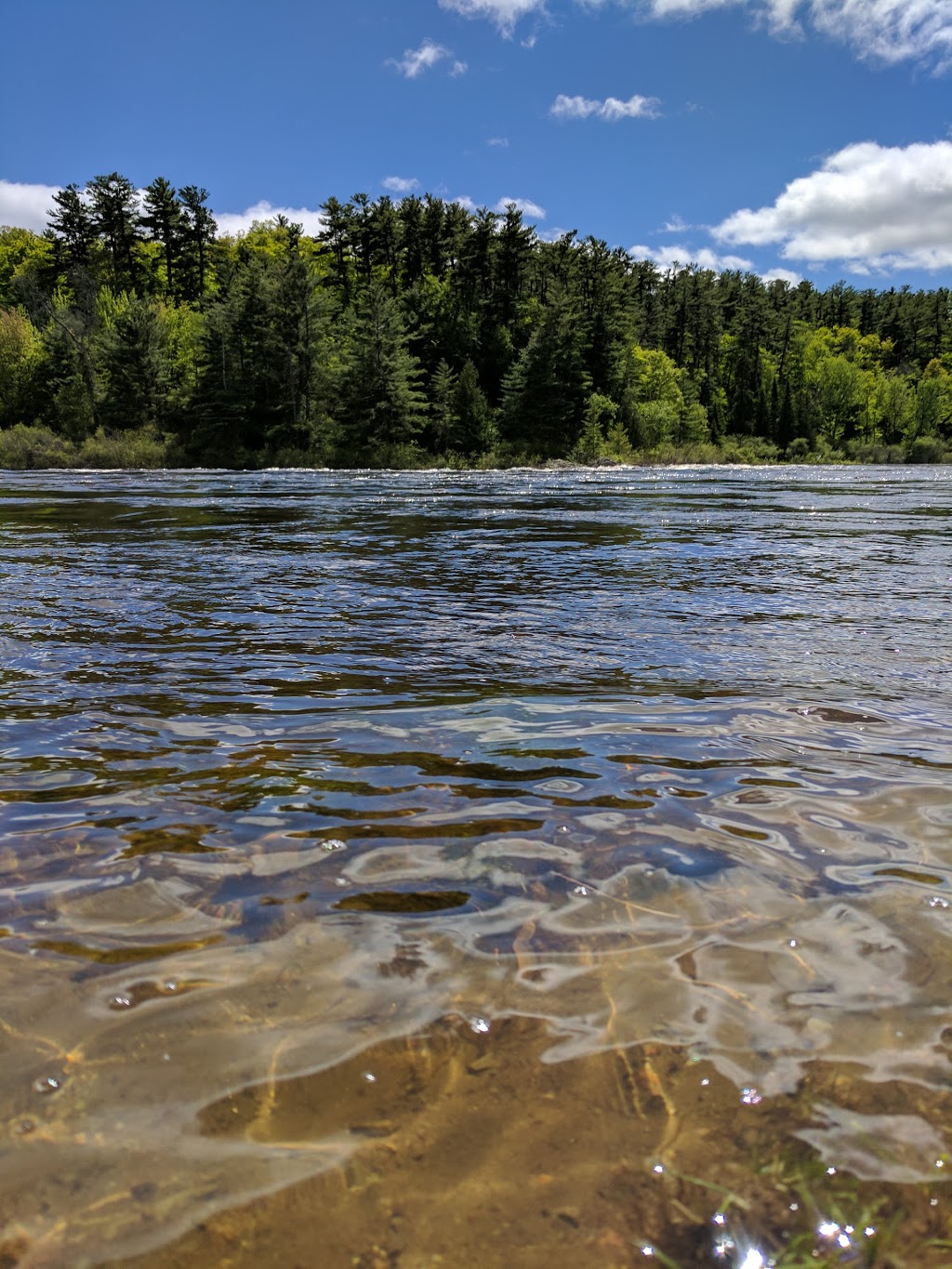 Parc Limbour | 23 Rue Saint-Alexandre, Gatineau, QC J8V, Canada | Phone: (866) 299-2002