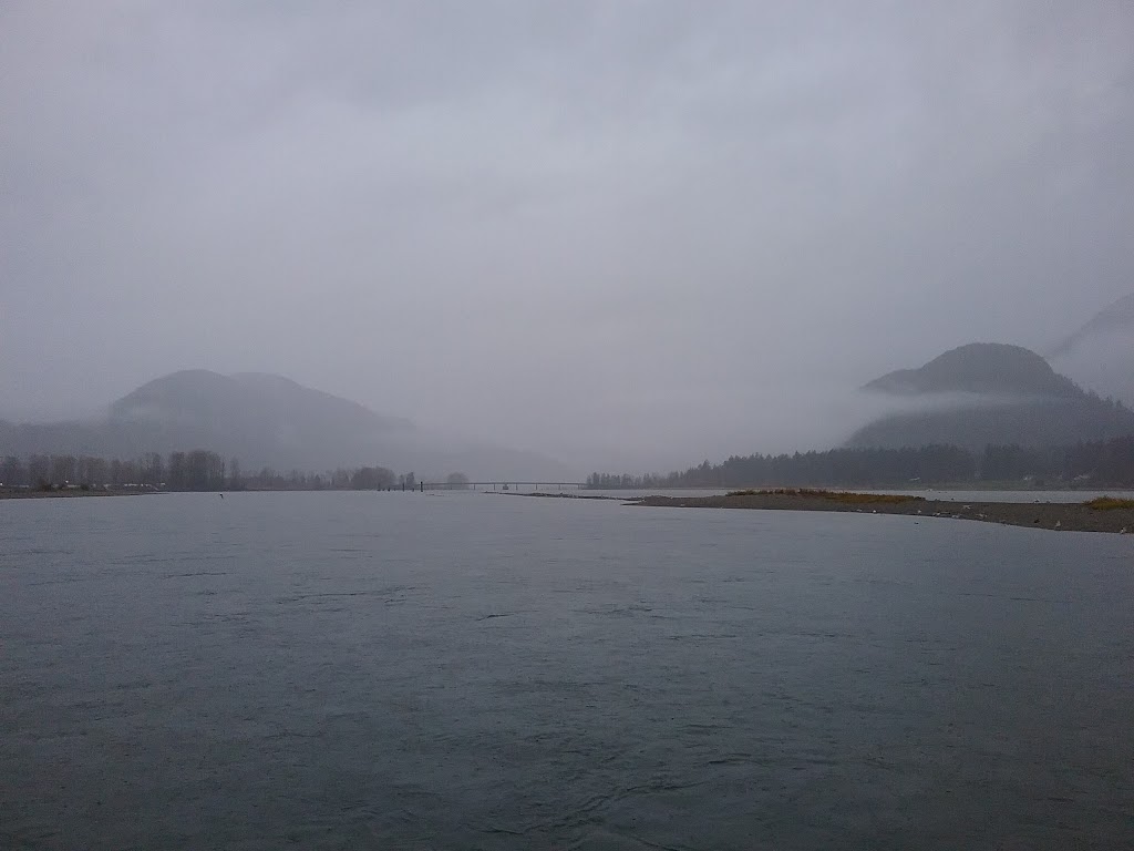Fraser River Safari Eagle Tours November & December launch area | Kilby Rd, Kent, BC V0M 1L0, Canada | Phone: (866) 348-6877