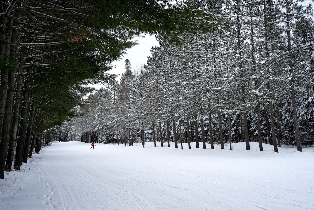 Arrowhead Provincial Park | 451 Arrowhead Park Rd, Huntsville, ON P1H 2J4, Canada | Phone: (705) 789-5105