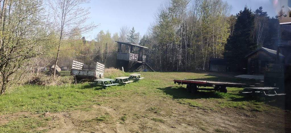 Paintball North Hatley | 55 Chem. Gosselin, North Hatley, QC J0B 2C0, Canada | Phone: (819) 345-5537