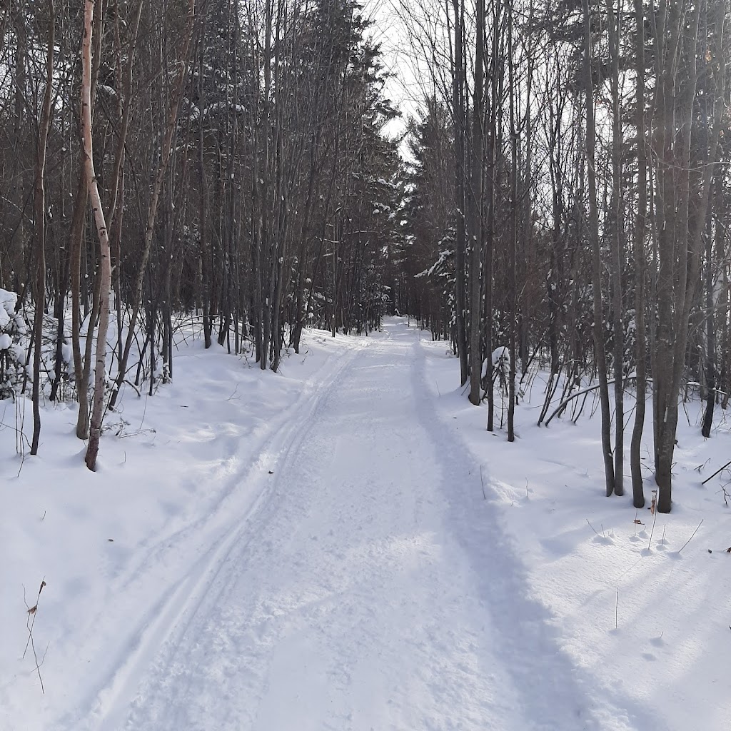 Municipalité St-Patrice de Beaurivage | 530 Rue Principale, Saint-Patrice-de-Beaurivage, QC G0S 1B0, Canada | Phone: (418) 596-2362
