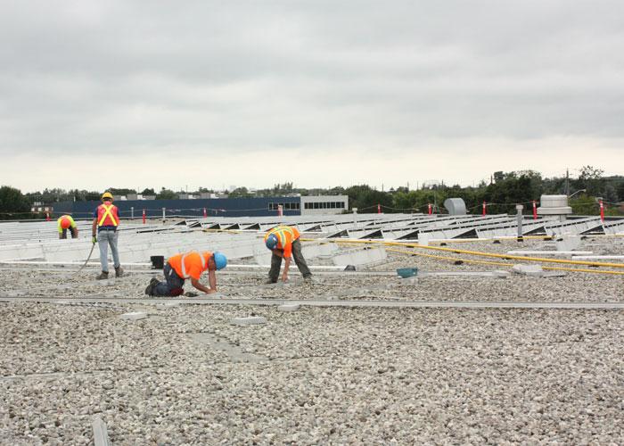 Arcadian Projects Inc. | 1439 Gingerich Rd Unit 2, Baden, ON N3A 3J7, Canada | Phone: (519) 804-9697