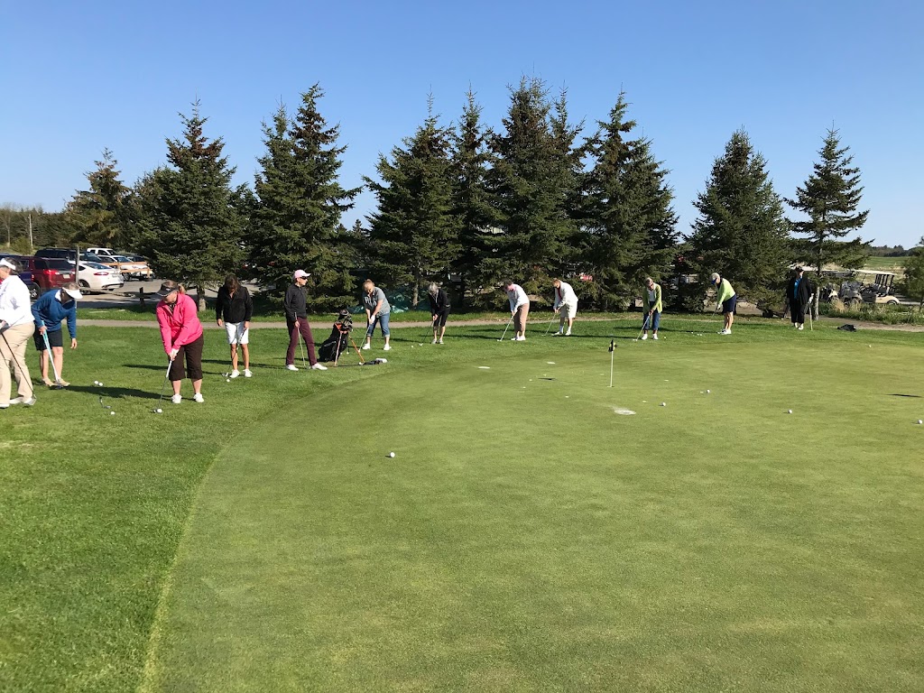 Denver Dafoe Golf Academy | 1036 S Monck Dr, Bracebridge, ON P1L 1W8, Canada | Phone: (705) 646-1060