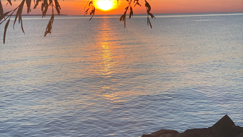 Bongo House Pelee | 1555 McCormick Rd, Pelee Island, ON N0R 1M0, Canada | Phone: (519) 521-3436
