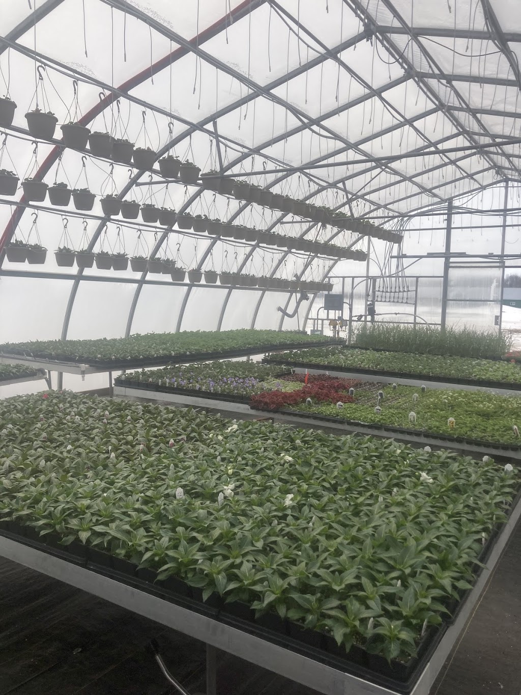 Sunshine Gardens | 41729 Harriston Rd, Bluevale, ON N0G 1G0, Canada | Phone: (519) 450-8013