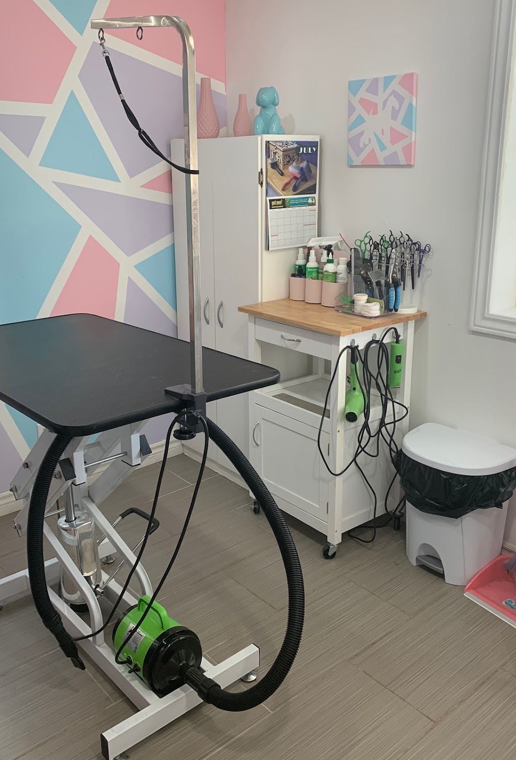 Goode Fur-Baby Salon & Spa | 173 Victoria St, Ingersoll, ON N5C 2N2, Canada | Phone: (519) 240-4038