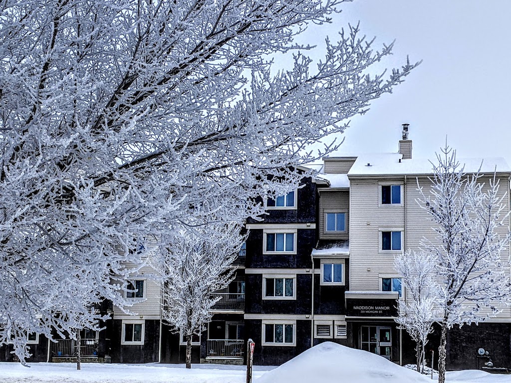 Maddison Mannor | 201 Michigan St, Devon, AB T9G 1A9, Canada | Phone: (780) 986-2814