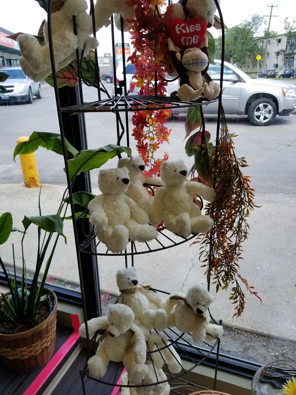 Lakewood Florist & Gifts Ltd | 310 St Annes Rd, Winnipeg, MB R2M 4Z5, Canada | Phone: (204) 255-1722