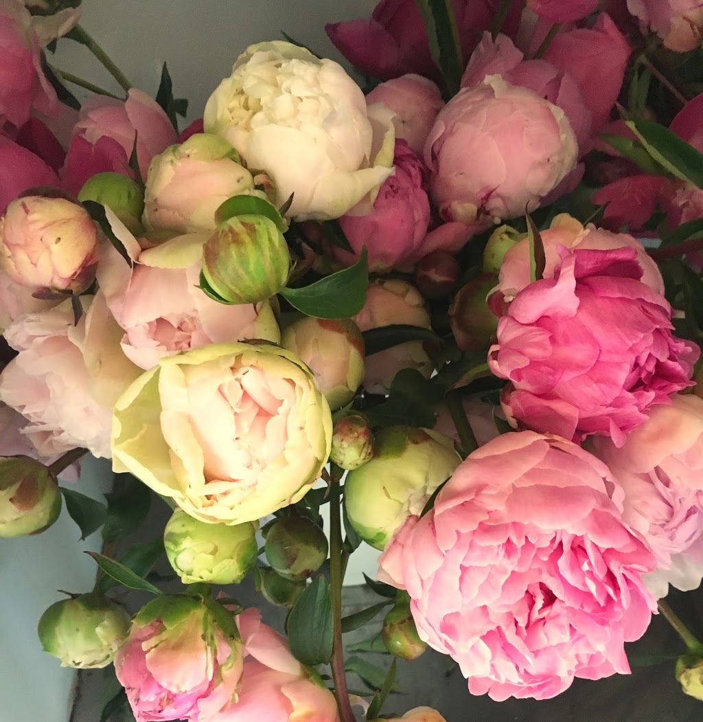 Full Bloom Farm | 2330 Tuttle Ln, Lummi Island, WA 98262, USA | Phone: (360) 758-7173