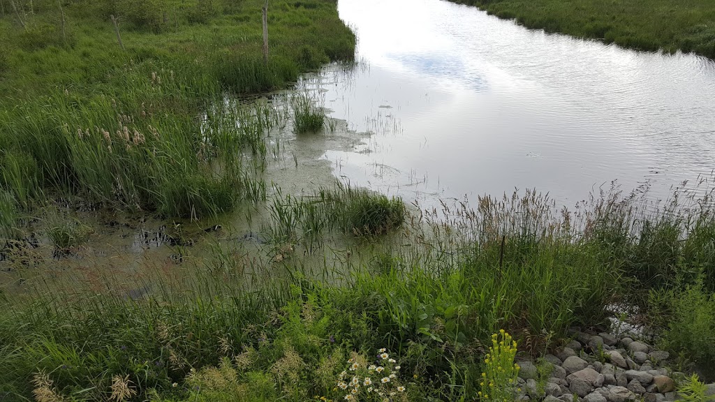 Wetland, River | 301-445 Golf Course Rd, Janetville, ON L0B 1K0, Canada
