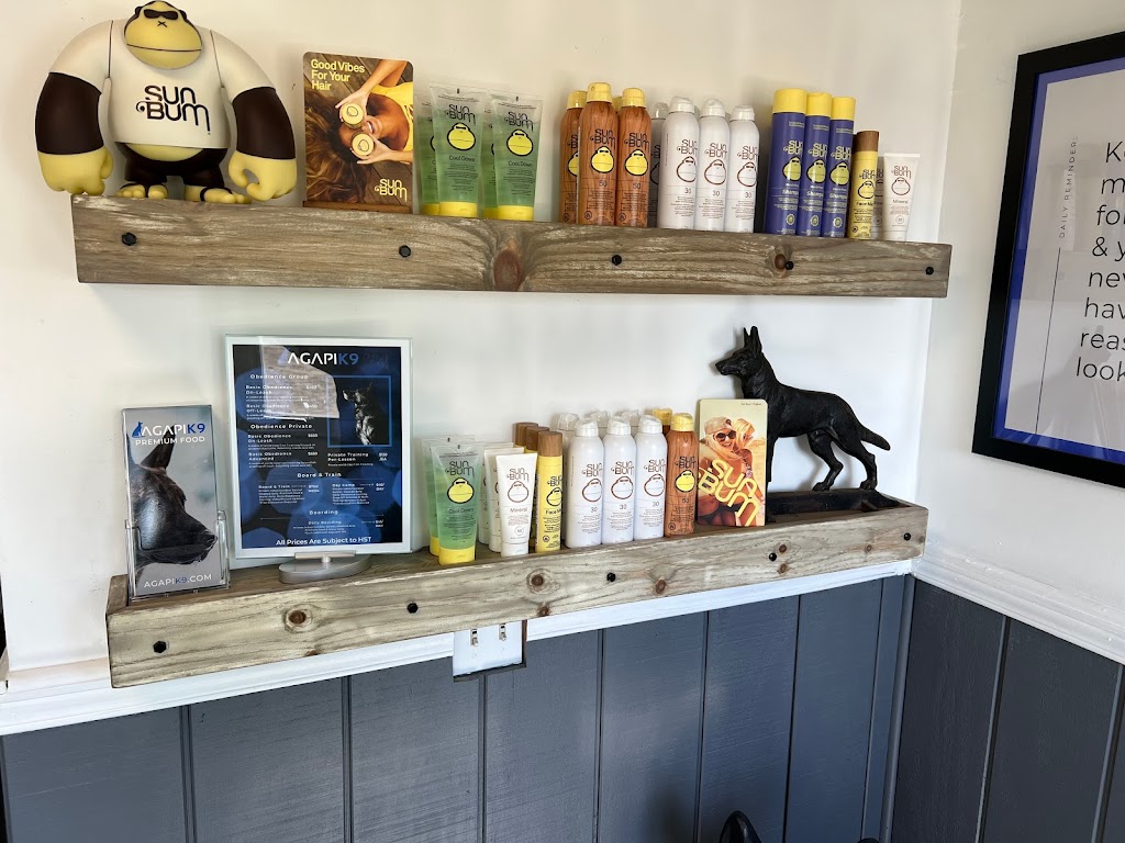 AgapiK9 | 374127 6 Line, Amaranth, ON L9W 0M6, Canada | Phone: (519) 942-1508