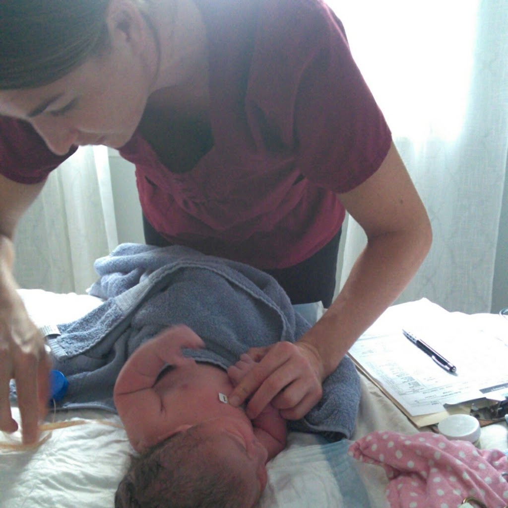 Blue Water Midwifery, Heather Lemanski CPM | 9120 Green Rd, Goodells, MI 48027, USA | Phone: (586) 569-9332