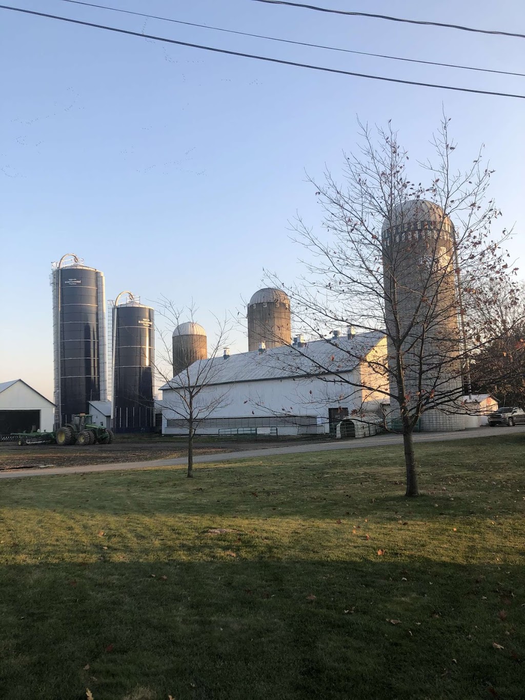 Ferme Rosblais | 138 Rue Ste Geneviève, Saint-Isidore, QC G0S 2S0, Canada | Phone: (581) 984-1952