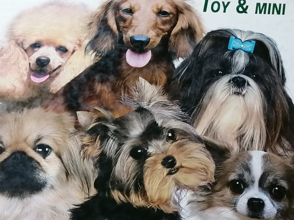 Veterinary Hospital De LEstrie | 2736 Rue Galt O, Sherbrooke, QC J1K 2V8, Canada | Phone: (819) 562-8585