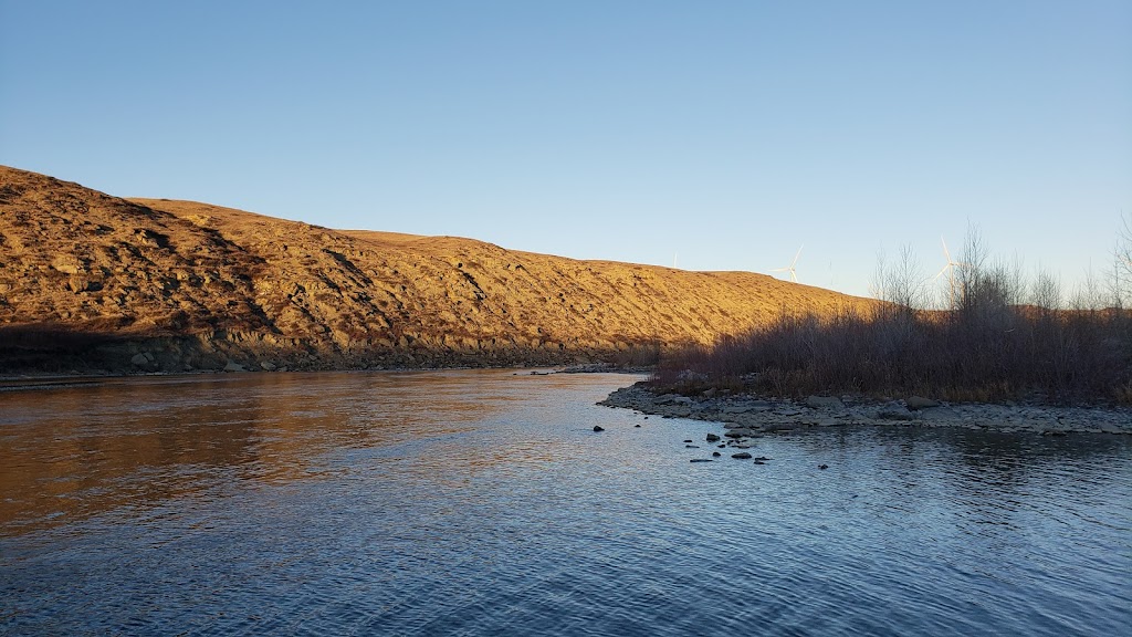 Cottonwood Campground | 45 Vanzile St, Treherne, MB R0G 2V0, Canada | Phone: (204) 723-2044