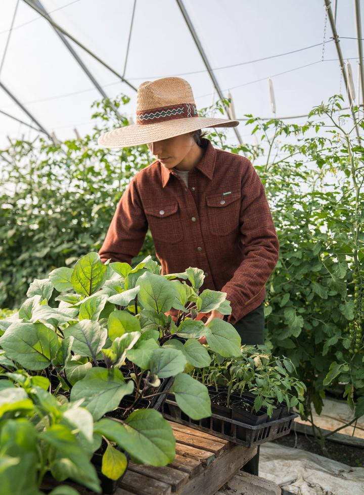 Growers and Co. | 3535 Bd Sainte-Anne Suite 300, Québec, QC G1E 3L6, Canada | Phone: (418) 524-4443