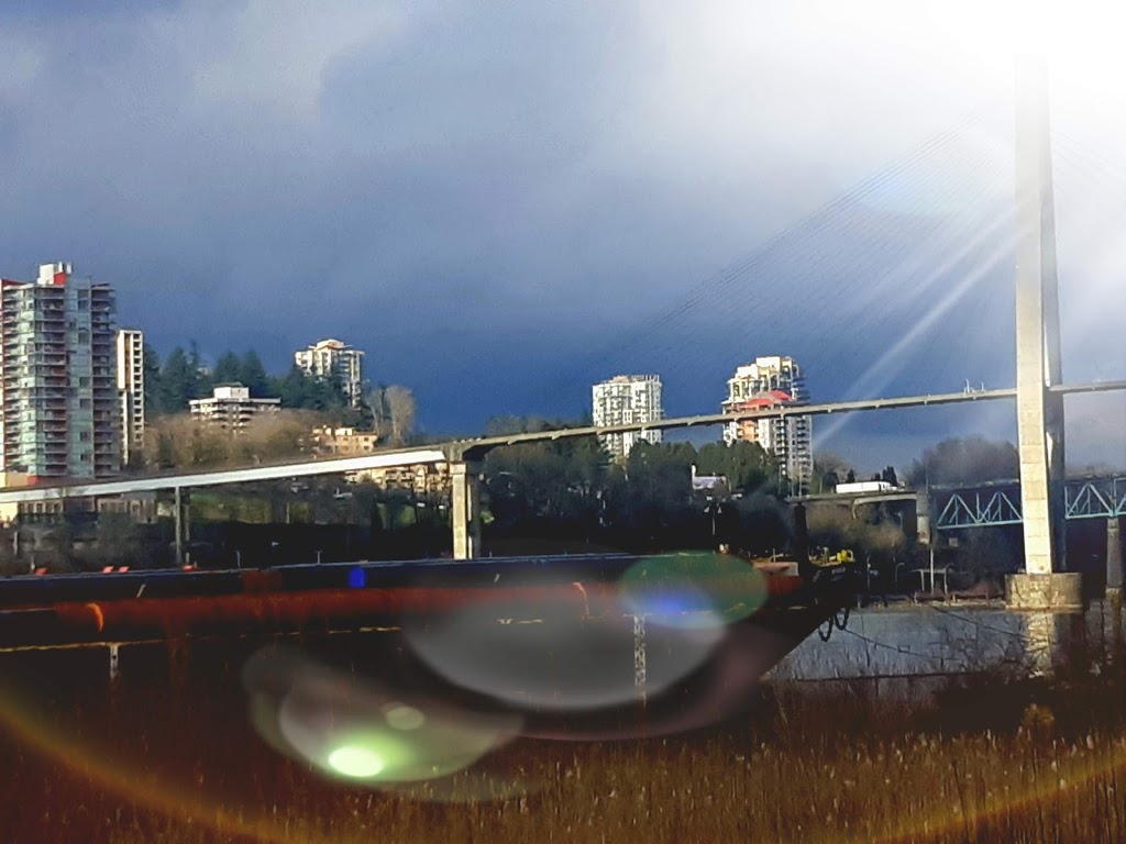 Tannery Park | 11715 Dyke Rd, Surrey, BC V3V 3W4, Canada | Phone: (604) 501-5050