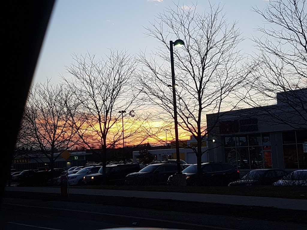 Mighty Oak Park | 6015 Douguy Blvd, Mississauga, ON L5V 1B3, Canada
