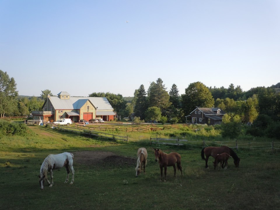 Camping Farm Pégasus S.e.n.c. | 261a Route 143, Ulverton, QC J0B 2B0, Canada | Phone: (819) 826-3825