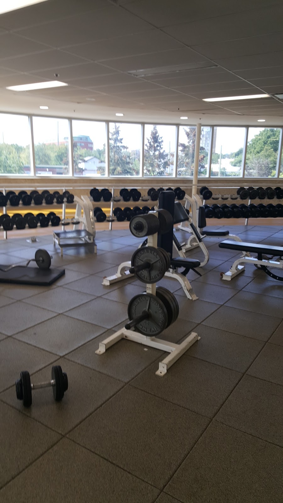 Brampton YMCA | 20 Union St, Brampton, ON L6V 1R2, Canada | Phone: (905) 451-1400