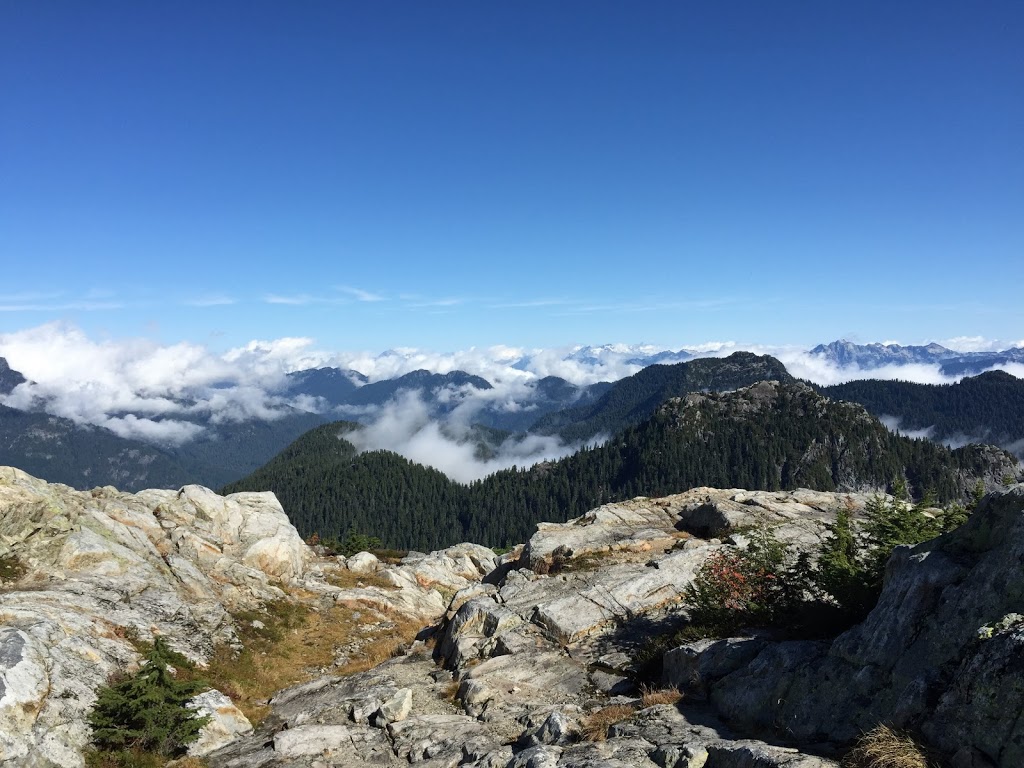 Cove Continuity Advisors Inc. | 2255 Dollarton Hwy, North Vancouver, BC V7H 3B1, Canada | Phone: (604) 924-9152