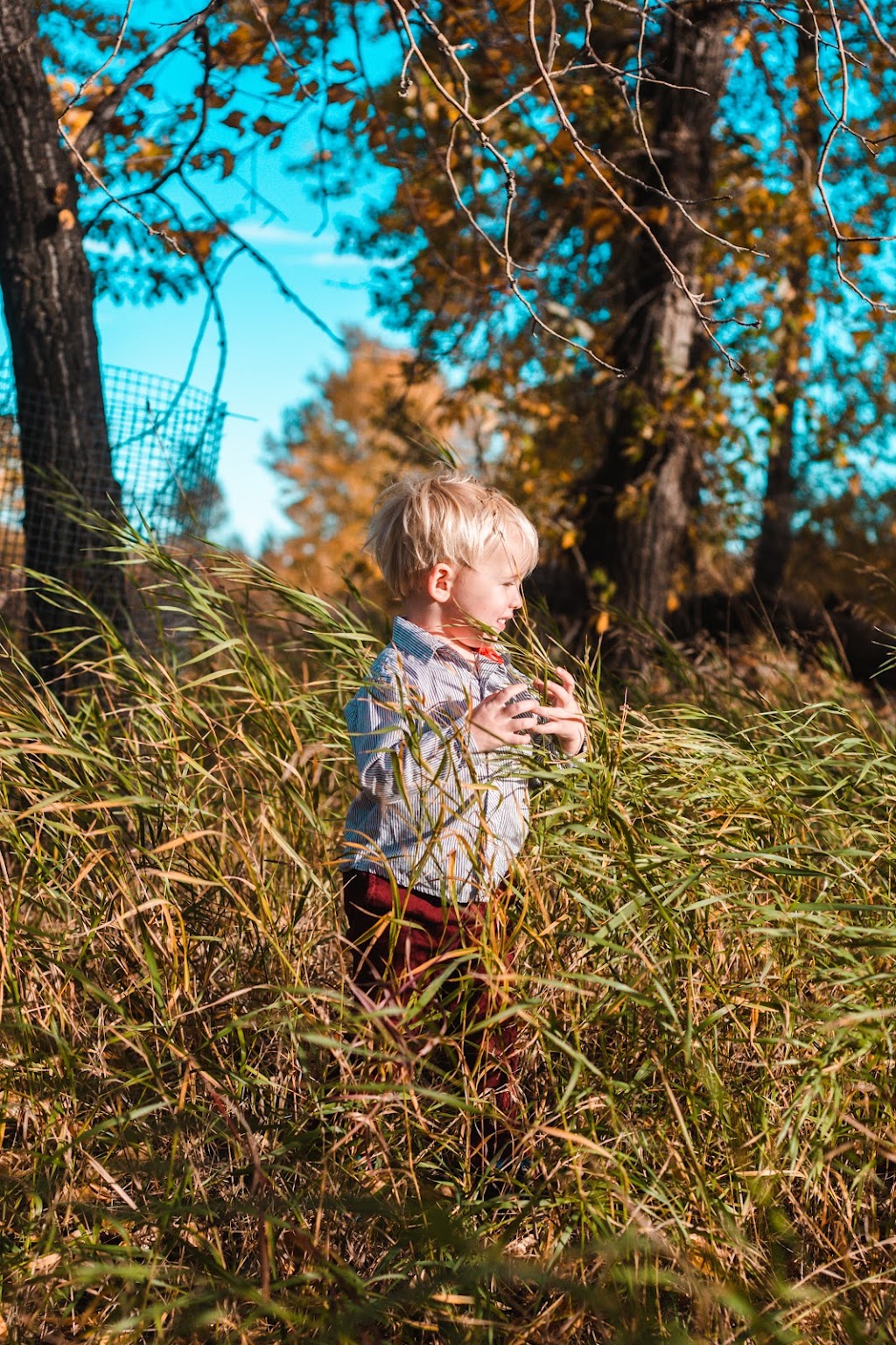 Flash Me YYC Photography | 93 Douglas Glen Cir SE, Calgary, AB T2Z 3T2, Canada | Phone: (587) 703-1460