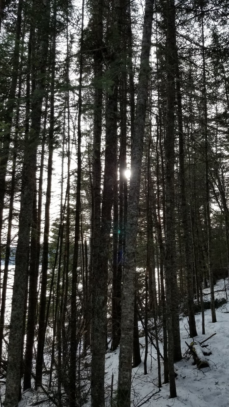 Little Trout Bay Conservation Area | Neebing, ON P7L 0A4, Canada | Phone: (807) 344-5857